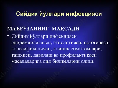 сийдик йўллари инфекцияси — PPT