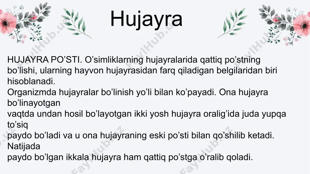 hujayra tuzilmasi va funksiyalari - Page 5