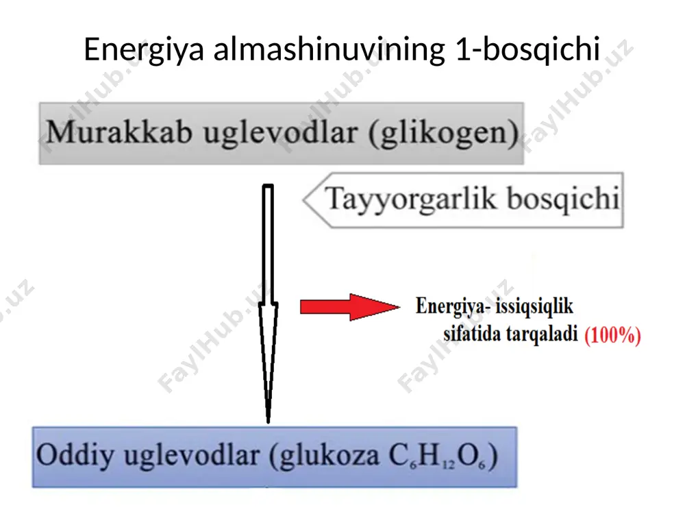 an bo’lsa, necha mol atf hosil bo’lgan? a) 86 b) 82 c) 72 d) 78 18. dissimilyasiya jarayonida bir necha molekula glyukoza to’liq parchalandi. natijada 95 molekula atf sintezlandi. parchalangan glyukozaning miqdorini aniqlang. a) 2,5 b) 1 c) 3 d) 4 21. energiya almashinuvining uch bosqichida ajralgan energiyaning jami miqdori 19656 kj ni tashkil etgan bo'lsa va bu jarayonda 266 ta atf hosil bo'lsa, energiya almashinuvining anaerob bosqichida ajralgan energiyaning miqdorini (kj) aniqlang, a) 3696 b) 9016 c)2056 d) 1400 22. 2-bosqichda 120 kj energiya issiqlik energiyasi sifatida tarqalsa, 3-bosqichda issiqlik sifatida tarqalgan energiya(a) va xloraplastda atf ga bo`glanga energiya miqdorini(b) aniqlang. a)a-1440, b-1080 b)a-1160, b-1200 c)a-1160, b-43200 d)a-1160, b-42300 23. 2-bosqichda 60 kj energiya issiqlik energiyasi sifatida tarqalsa, 3-bosqichda issiqlik sifatida tarqalgan energiya(a) va xloraplastda atf ga bo`glanga energiya miqdorini(b) aniqlang. a)a-1440, b-1080 b)a-580, b-22200 c)a-580, b-21600 d)a-1160, b-42300 11. dissimilatsiya jarayonida glukoza to‘liqsiz va to'liq parchalanishi natijasida 10 …