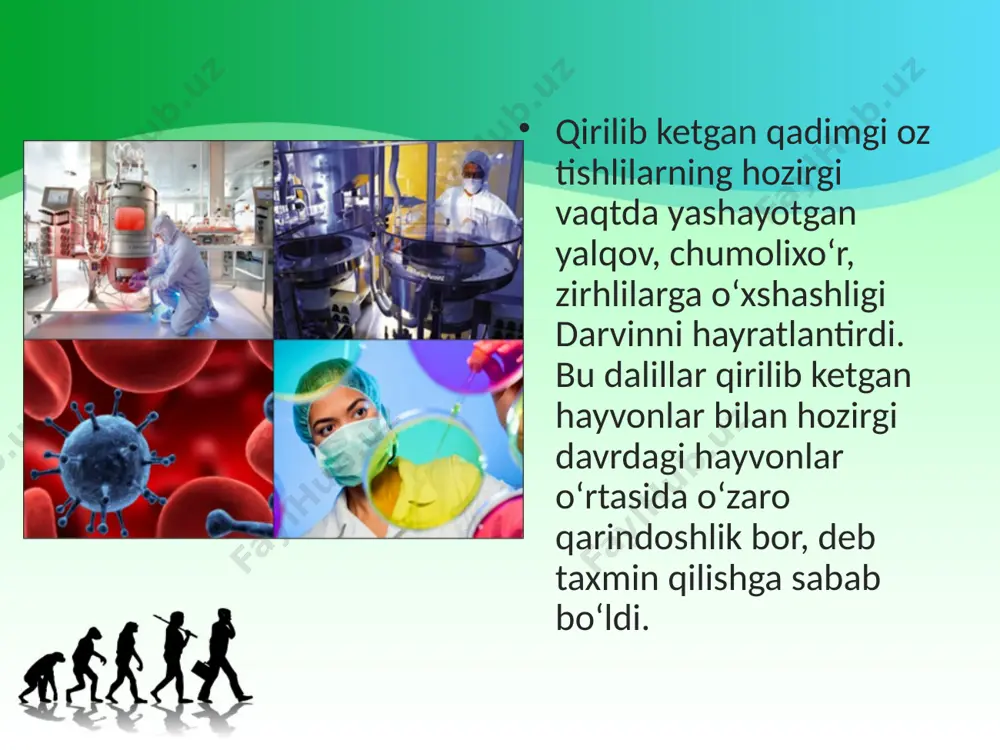 ch. darvinning evolutsion g‘oyalari. 10 - sinf - Page 4