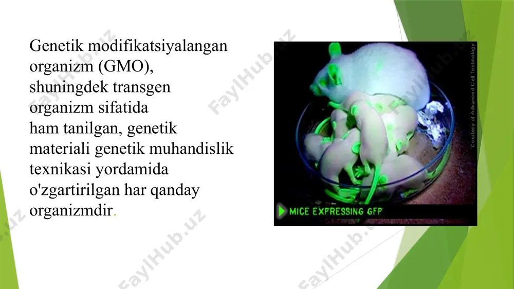 gik kasalliklar flavonoidlarning ko'payishi [nat. biotexnologiya. 2002] yurak-qon tomir kasalliklari xavfini kamaytirish xavfsizlikni baholash oziq-ovqat mahsulotlari, foydalanilgan zamonaviy biotexnologiya baholash tamoyillari xavfsizlik gm oziq-ovqat mahsulotlar sabzavot kelib chiqishi jeneva, shveytsariya, 2000 yil 29 may - 2 iyun baholash tamoyillari xavfsizlik oziq-ovqat mahsulotlari, yordamida olingan gm mikroorganizmlari jeneva, shveytsariya, 24-28 sentyabr 2001 yil baholash tamoyillari xavfsizlik gm oziq-ovqat mahsulotlar hayvon kelib chiqishi rim, italiya, 17-21 noyabr 2003 yil xavfsizlikni baholash oziq-ovqat mahsulotlari, foydalanilgan zamonaviy biotexnologiya zamonaviy biotexnologiya yordamida olingan oziq-ovqat mahsulotlarining xavf tahlili tamoyillari cac/gl 44-2003 codex alimentarius komissiyasining 26- sessiyasi , 2003 yil xavfsizlikni baholash oziq-ovqat mahsulotlari, foydalanilgan zamonaviy biotexnologiya alimentarius kodeksi , 2003 yil cac/gl 44-2003 shaxsiy asosda o'tkaziladi xavfsizlik talablari: oziq-ovqat mahsulotlari yoki oziq-ovqat xom ashyosi, gmo dan olingan mahsulotlar xavfsiz bo'lishi kerak inson salomatligi va hayoti bir xil darajada, an'anaviy hamkasblari kabi mahsulot bozorga kirishidan oldin amalga oshiriladi xavfsizlikni baholash oziq-ovqat mahsulotlari, foydalanilgan zamonaviy biotexnologiya alimentarius kodeksi …