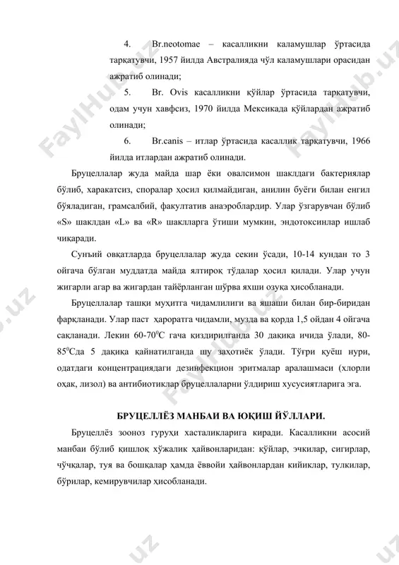 зада 72 кунгача, томорқа тупроғида 100 кунгача, ҳайвонлар жунида 3-4 ойгача, сувда ва гўнгда 4 ойгача, одам сийдигида 2 ҳафтагача яшай олади. бруцеллалар одам организмига шикастланган ва шикастланмаган тери орқали, ошқозон-ичак, кўз-қовоқ шиллиқ пардалари, жинсий аъзолар орқали ўтади. касал ҳайвонлар (эчки, қўй, сигир, туя, ит) бруцеллёзни юқтирадиган манба ҳисобланади, булар сийдиги, гўнги, урғочилари эса жинсий аъзоларининг суюқлиги, қоғоноқ суви, сути билан микрококкларни ажратади. касал ҳайвоннинг маҳсулотларидан сут-қатиқ, бринза, пишлоқ, сари ёғ, гўшт ва терисидан хасталик ўтиши мумкин. бруцеллалар ҳаво йўли орқали молхонани тозалаётганда чангдан, тери ошлаш корхоналарида ифлос ҳаводан нафас олиш туфайли ва касал ҳайвон ажралмалари теккан мева, сабзавотларни истеъмол қилиш, зарарланган сув орқали ҳам юқиши мумкин. бруцеллёз асосан касбга алоқадор бўлиб, бу билан кўпинча ҳайвонларга қарайдиган ва улардан олинадиган маҳсулотлар билан ишлайдиган кишилар касалланадилар. одатда ветеренария ходимлари, зоотехниклар, чўпонлар, сутсоғувчилар, гўшт тайёрлаш корхоналари, ёғ-пишлоқ пиширадиган, жун ювадиган корхоналар, зотли ҳайвонлар етиштирадиган ширкат хўжаликлар, қорамолчилик фермалари, сут заводи ишчилари ва …