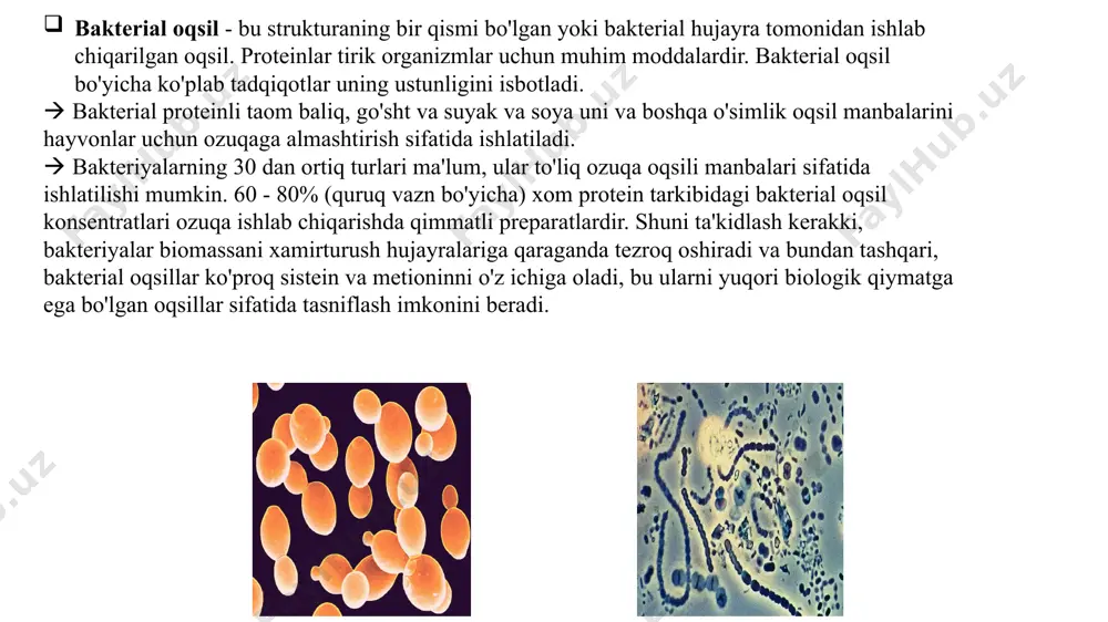ning rangini oladi. buning sababi shundaki, ularning ikkita hujayra lipid membranalari orasida peptidoglikan qatlami mavjud. ushbu qatlam ingichka, shuning uchun u gramdagi dog 'zarralarini ushlab turolmaydi. uglerod va energiyani metandan oladigan bakteriyalar jinsi, bu metabolik jarayon metanotrofiya deb ataladi.  metan va havodan iborat bo‘lgan gaz muhiti yong‘inga o‘ta xavfli bo‘lganligi, hamda bakteriyalar tomonidan metanni to‘lig‘icha parchalash uchun jarayonni bir necha bor qaytarish zarurligi sababli gazsimon moddalardan oziq-ovqat oqsili tayyorlash o‘ta murakkab va qimmatbaho texnologiya hisoblanadi. metandan oqsidlash orqali olish mumkin bo‘lgan metanol asosida oqsil tayyorlash texnologiyasi ko‘proq ishlatiladi. metanol saqlovchi oziqa muhitida o‘stirish uchun methylomonas, pseudomonas, methylohillus avlodlariga kiruvchi bakteriyalar ishlatiladi. bu bakteriyalarni suyuq oziqa muhitida, oddiy fermentyorlarda o‘stiriladi.  oqsil moddalarni sintez qilish samaradorligi bo‘yicha vodorod oksidlaydigan bakteriyalarga yetadigani yo‘q. bu bakteriyalarni hujayralarida 80% gacha oqsil moddalar saqlanadi (quruq modda hisobidan). bu bakteriyalar karbonat angidridni ba’zi shtammlari esa hattoki, havodagi azotni utilizatsiya qilish uchun vodorodni oksidlanish energiyasidan foydalanadilar. …