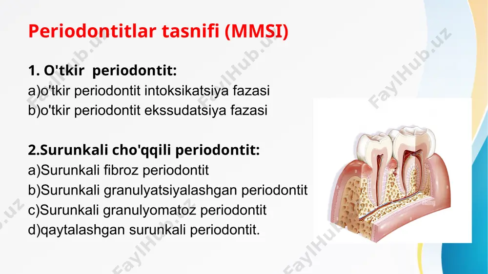 periodont (periodontium) - Page 4