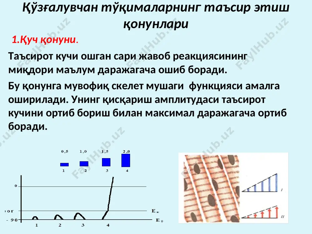 қўзғалиш пайтида қўзғалувчанликнинг ўзгариши - Page 4