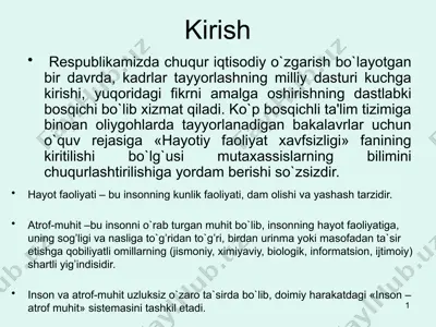 kadrlar tayyorlash milliy dasturi — PPTX