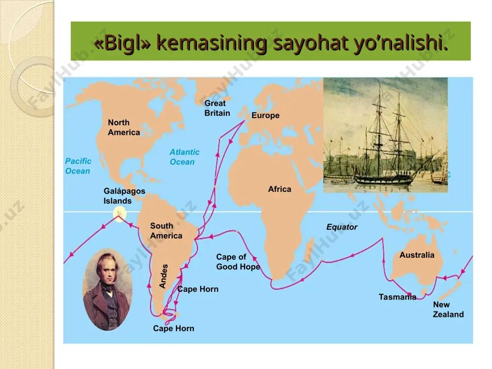 aniqladi. darvinning uqtirishicha, qadimgi davrlarda bu ikki qit’a yagona bo‘lgan. keyinchalik meksika tog‘lari tufayli ikkiga bo‘lingan.natijada ularning hayvonot va o‘simlik olamida farqlar paydo bo‘lgan. darvinni ayniqsa janubiy amerikaning g‘arbiy qirg‘og‘idan 900 km uzoqlikda-gi galapagoss arxipelagining hayvonot va o‘simliklar olami hayratga soladi. u yerda qushlar, sudralib yuruvchilar ko‘p uchraydi. chumchuqsimonlar turkumiga kiruvchi vyuroklar, sudraluvchilardan toshbaqa-larning har bir oroldagi turlari o‘ziga xos tuzilishga ega. janubiy amerikaning qirilib ketgan va hozirgi vaqtda yashayotgan hayvonlari: qazilma holdagi; 1- zirhli (wliptodon agper) va (3) yalqov (mylodon robustus); hozirgi vaqtdagi (2) zirhli (tabug noevemcinctum) va (pradipus tridactulur) galapagoss arxipelagining vyuroklari. geospiza magnistris; g. fortis g. parvula certhidea oliraceo galapagoss tog‘ vyuroklari. ularning tumshuqlaridagi farq. evolyutsion nazariya ustida ishlash turlarning o`zgarishi to`g`risidagi dastlabki g`oya darvinda “bigl” kemasidagi safar davridayoq paydo bo`ladi. lekin bu jarayon sabablarini aniqlash masalasi hali ko`p jihatdan muammo edi. darvin angiliyaga qaytgach, xonaki va tabiiy sharoitdagi hayvon, o`simliklarning o`zgaruvchanligiga doir ma’lumotlarni ko`plab yig`a boshladi …