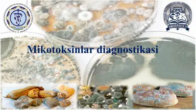 mikotoksinlardiagnostikasi — PPTX