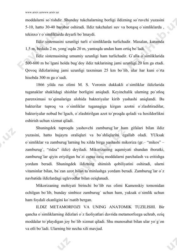 an azot bilan ta`minlashga yordam beradi. zamburug`lar o`z navbatida ildizlardagi uglevodlar bilan oziqlanadi. mikorizaning mohiyati birinchi bo`lib rus olimi kamenskiy tomonidan ochilgan bo`lib, bunday simbioz zamburug` uchun ham, yuksak o`simlik uchun ham foydali ekanligini ko`rsatib bergan. ildiz metamorfozi va uning anatomik tuzilishi. bir qancha o`simliklarning ildizlari o`z faoliyatlari davrida metamorfozga uchrab, oziq moddalar to`playdigan joy bo`lib xizmat qiladi. shu munosabat bilan ular yo`g`on va etli bo`ladi. ularning bir necha xili mavjud. 1. ildizmevalar. asosiy ildiz o`z shaklini o`zgartirib, yo`g`onlashadi va o`zida zapas oziq moddalarni to`playdi, bunga sabzi, sholg`om, turp, rediska, petrushkalar kiradi. 2. ildiz tuganak asosiy ildizlardan tashqari yon va qo`shimcha ildizlar ham metamorfozga uchrashi mumkin va oziq moddalari saqlanadigan yo`g`on joy ildiz tuganaklari yoki ildiz g`uddalari deyiladi. ular qishni o`tkazish uchun emas, balki , vegetativ ko`payish uchun xizmat qiladi. bularga kartoshkagul, eryong`oq;, batat kabi o`simliklarning ildiz tuganaklar misol bo`ladi. 3. tayanch ildizlarni poyadan chiqqan qo`shimcha ildizlar hosil qilib, ular …