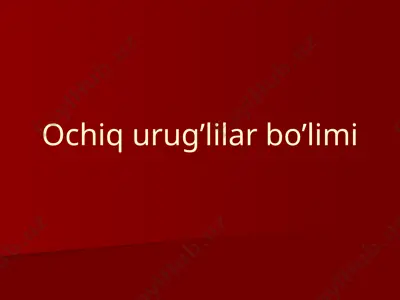 ochiq urug`lilar bo`limi — PPTX