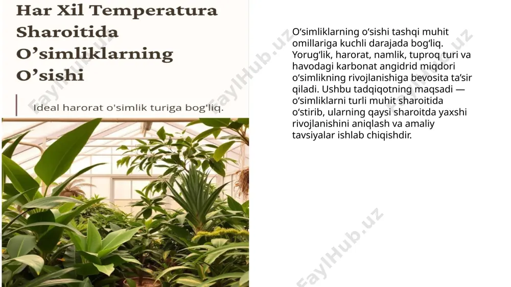 o‘simliklar turli muhitda o‘stirish: tajriba va tavsiyalar - Page 3