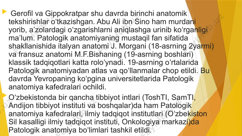 patalogik anatomiya - Page 5