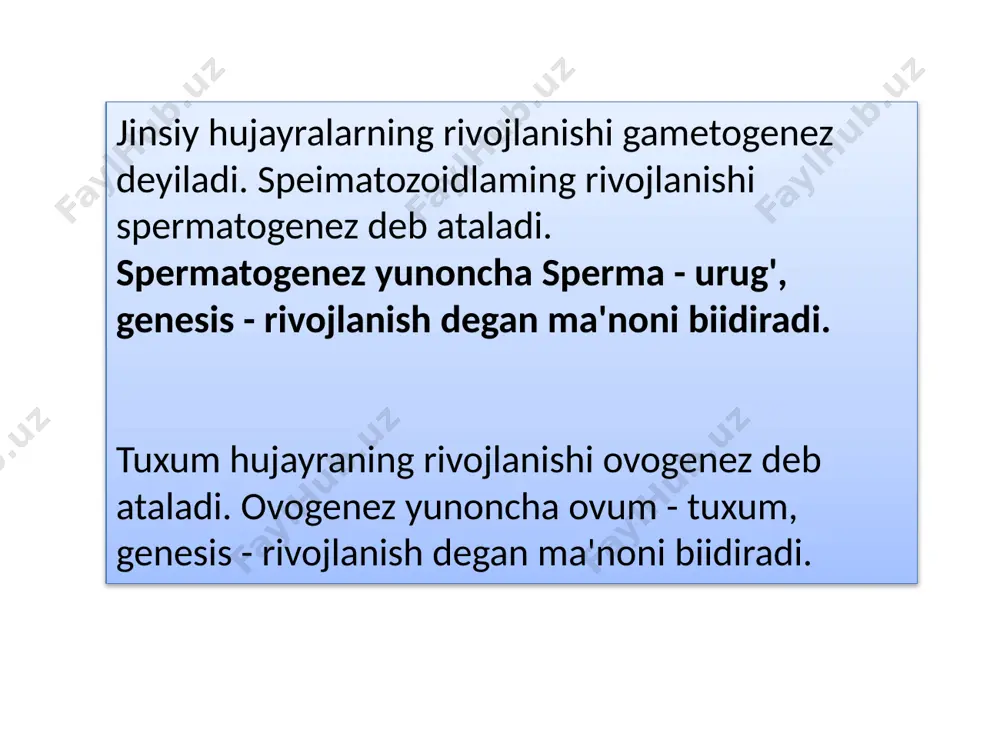 spermatogenez bosqichlari sxemasi va mexanizmi - Page 4