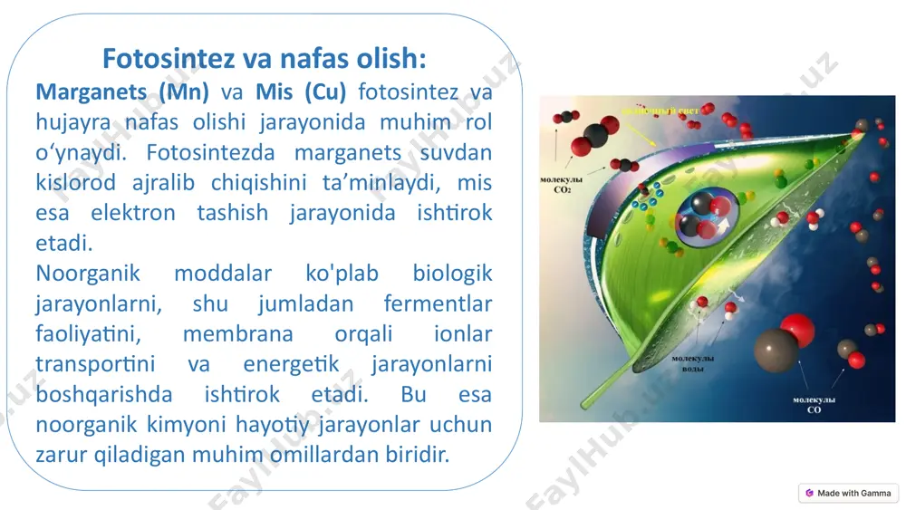 ddalar ishlatiladi. qayta ishlash texnologiyalari chiqindi mahsulotlarni qayta ishlash va ularni qayta foydalanish uchun qayta ishlab chiqarishda noorganik kimyo texnologiyalari qo'llaniladi. 15 yangi materiallar olishda anorganik kimyoning ahamiyati energiya saqlash va quyosh batareyalari noorganik materiallar yangi turdagi energiya saqlash vositalari, masalan, litiy-ionli batareyalar, yonilg‘i elementlari va quyosh panellari ishlab chiqarishda keng qo‘llaniladi. bunday materiallar energiya samaradorligini oshiradi va atrof-muhitga kamroq zarar yetkazuvchi texnologiyalar yaratishga yordam beradi. e'tiboringiz uchun tashakkur! image1.png image2.png image3.png image4.png image5.png image6.jpeg image7.jpeg image8.png image9.jpeg image10.jpeg image11.jpeg image12.jpeg image13.png image14.png image15.png image16.png image17.png image18.png image19.jpeg