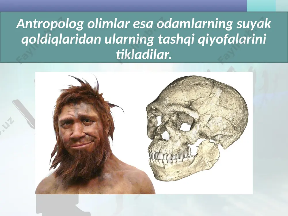 eng qadimgi odamlar va ularning manzilgohlari. 5 - sinf - Page 4
