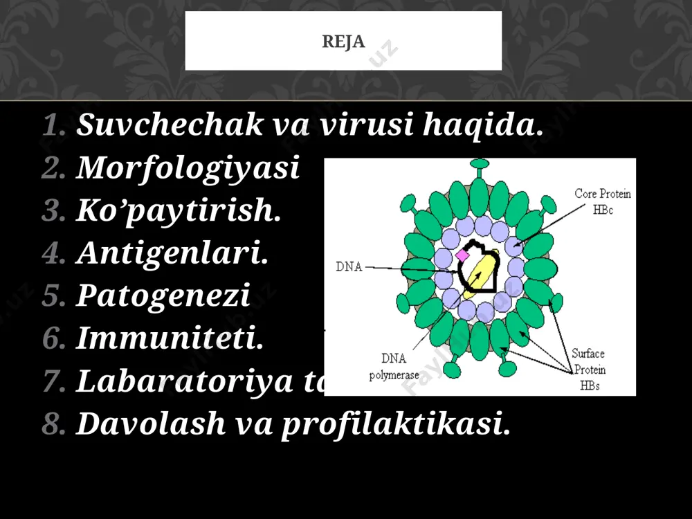 lar va sensibillangan limfotsitlar paydo bo’ladi, sekin bular ham infeksiyani latent holda saqlanib qolishiga to’sqinlik qilolmaydi. virus orqa miyaning orqa tolalari gangilya hujayralarida persistensiya holida uzoq saqlanadi va immunitet zaiflashganda kasallik qaytalashi mumkin. immuniteti tekshirishga toshmalardan material,teri-halqum suyuqligi va qon olinadi.virusoskopiya, virusologik va serologik usullardan foydalaniladi. tezkor tashxisda esa vezikula suyuqligidan surtma tayyorlab romanovskiy-gimza usulida bo’yalganda “ko’pyadroli hujayralar va yadroichi kiritmalari” topiladi. maxsus antigenni aniqlashga if, ifa va kbr qo’llanadi. virus odam embirioni fibroblastlaridan tayyorlangan hujayra kulturasidan ajratib olinadi. maymun, quyon va boshqa hayvonlar hujayra kulturalaridan ham foydalansa bo’ladi. neytrallash reaksiyasi orqali identifikatsiya qilinadi, bunga rekonvalessentlarning ko’p antitelolar tutuvchi zardoblari ishlatiladi. serologik tashxisda kbr, nr, ifa qo’llanadi. labaratoriya tashxisi toshmalarga brilliant yashilining 1% li spirtdagi yoki kmno4 ning 10% li eritmasi suriladi. bemorni shifoxonaga yotqizish shart emas. unga interferon va og’riq qoldiruvchilar buyuriladi. bemor bilan muloqotdagilarga ig qilinadi va bog’cha maktabga 3- haftagacha bormaydi. suvchechakka qarshi immunomodulinalar temratkini yengillashtiradi, ammo …