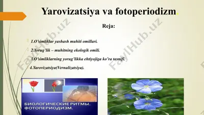yarovizatsiya va fotoperiodizm — PPT