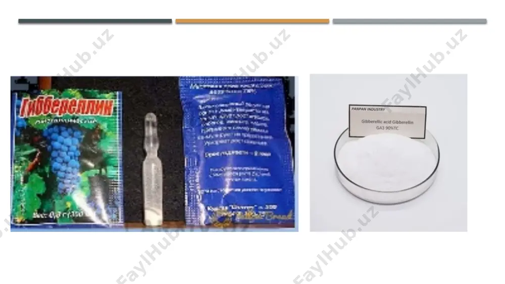 diagrammalar orqali aniq ko'rsatilishi mumkin. bu, o'simliklar orasidagi murakkab o'zaro aloqalarni tushunishga yordam beradi. zamonaviy texnologiyalar va bioinformatika fitogormonlarni o'rganishda yangi imkoniyatlar yaratadi. bu, o'simliklar haqidagi bilimlarni kengaytirishga xizmat qiladi. e'tiboringiz uchun rahmat! image1.jpeg image2.jpeg image3.jpeg image4.jpeg image5.jpeg image6.jpeg image7.jpeg image8.jpeg image9.jpeg image10.jpeg /docprops/thumbnail.jpeg