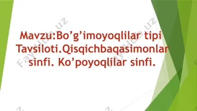 bo’g’imoyoqlilar tipi — PPTX