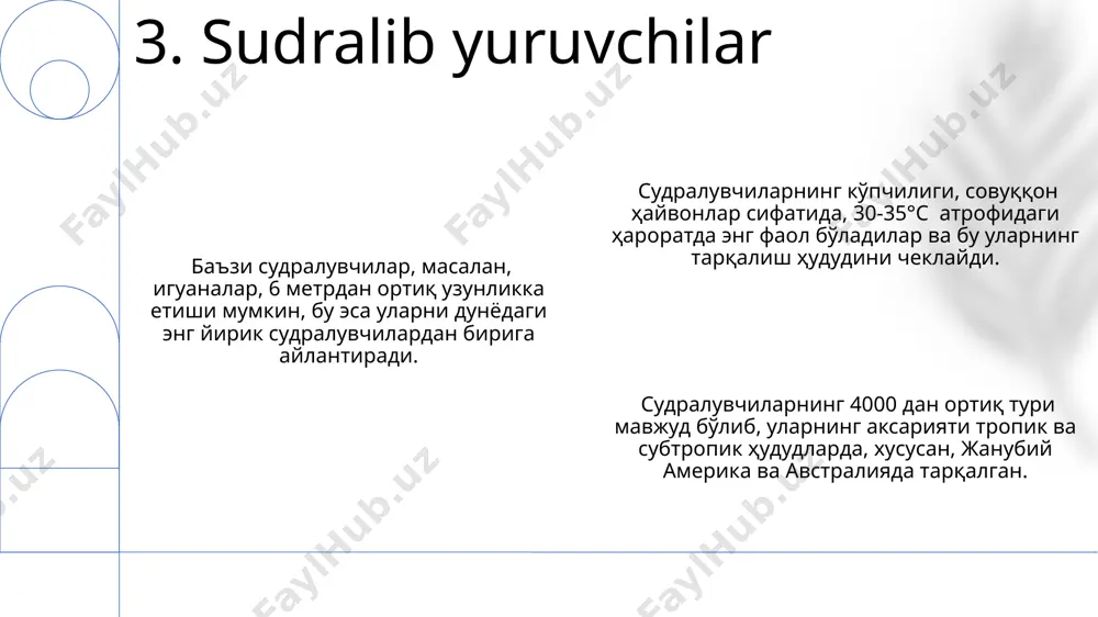 lp kolonial organizmlar boʻlib, har bir koloniya yuzlab klonlangan salplardan iborat boʻlib, ular birgalikda filtrlash orqali oziqlanadi va suv oqimlarida suzib yuradi. 13. salp lar xordalilarning umurtqasiz vakillari, evolyutsion jihatdan, umurtqali hayvonlarning ajdodlari hisoblanadi va ularning embrional rivojlanish jarayonida xorda, nerv naychasi va gill yorig'lari kabi xarakterli xususiyatlarni namoyon qiladi. umurtqasiz xordalilar, masalan, lanceletlar (amphioxus), dengiz tubida, 30 metrgacha chuqurlikda, asosan qumli yoki loyqa tuproqlarda yashaydi va 5-8 sm gacha o'sadi. tunicatalar (ascidiacea) sinfiga mansub ba'zi umurtqasiz xordalilar, filtrlovchi ovqatlanish uslubiga ega bo'lib, kuniga o'z vaznlarining 10 barobarigacha suv filtrlaydi va 2000 dan ortiq turga ega. 14. umurtqasiz xordalilar amfibiyalar, masalan, qurbaqalar, suv va quruqlikda yashaydigan 3500 dan ortiq turga ega boʻlib, ularning koʻpchiligi tropik va subtropik mintaqalarda, xususan, amazon oʻrmonlarida uchraydi. ba'zi amfibiyalar, ayniqsa, salamandrlar, 10 yildan ortiq umr koʻrishi mumkin boʻlib, ularning tanasi terisi orqali nafas oladi va suv muhitining namligi ularning hayotiy faoliyati uchun juda muhim ahamiyat …