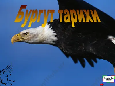 burgut tarihi — PPTX