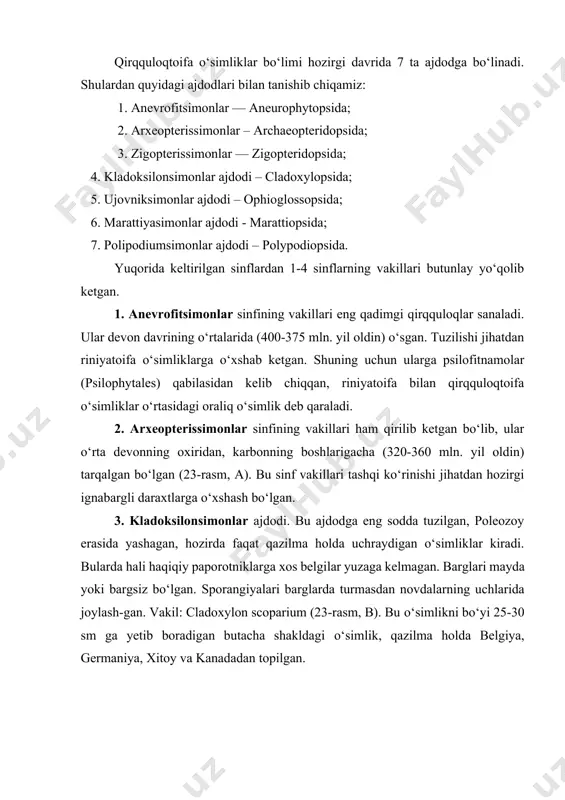dagi ajdodlari bilan tanishib chiqamiz: 1. anevrofitsimonlar — aneurophytopsida; 2. arxeopterissimonlar – archaeopteridopsida; 3. zigopterissimonlar — zigopteridopsida; 4. kladoksilonsimonlar ajdodi – cladoxylopsida; 5. ujovniksimonlar ajdodi – ophioglossopsida; 6. marattiyasimonlar ajdodi - marattiopsida; 7. polipodiumsimonlar ajdodi – polypodiopsida. yuqorida keltirilgan sinflardan 1-4 sinflarning vakillari butunlay yo‘qolib ketgan. 1. anevrofitsimonlar sinfining vakillari eng qadimgi qirqquloqlar sanaladi. ular devon davrining o‘rtalarida (400-375 mln. yil oldin) o‘sgan. tuzilishi jihatdan riniyatoifa o‘simliklarga o‘xshab ketgan. shuning uchun ularga psilofitnamolar (psilophytales) qabilasidan kelib chiqqan, riniyatoifa bilan qirqquloqtoifa o‘simliklar o‘rtasidagi oraliq o‘simlik deb qaraladi. 2. arxeopterissimonlar sinfining vakillari ham qirilib ketgan bo‘lib, ular o‘rta devonning oxiridan, karbonning boshlarigacha (320-360 mln. yil oldin) tarqalgan bo‘lgan (23-rasm, a). bu sinf vakillari tashqi ko‘rinishi jihatdan hozirgi ignabargli daraxtlarga o‘xshash bo‘lgan. 3. kladoksilonsimonlar ajdodi. bu ajdodga eng sodda tuzilgan, poleozoy erasida yashagan, hozirda faqat qazilma holda uchraydigan o‘simliklar kiradi. bularda hali haqiqiy paporotniklarga xos belgilar yuzaga kelmagan. barglari mayda yoki bargsiz bo‘lgan. …