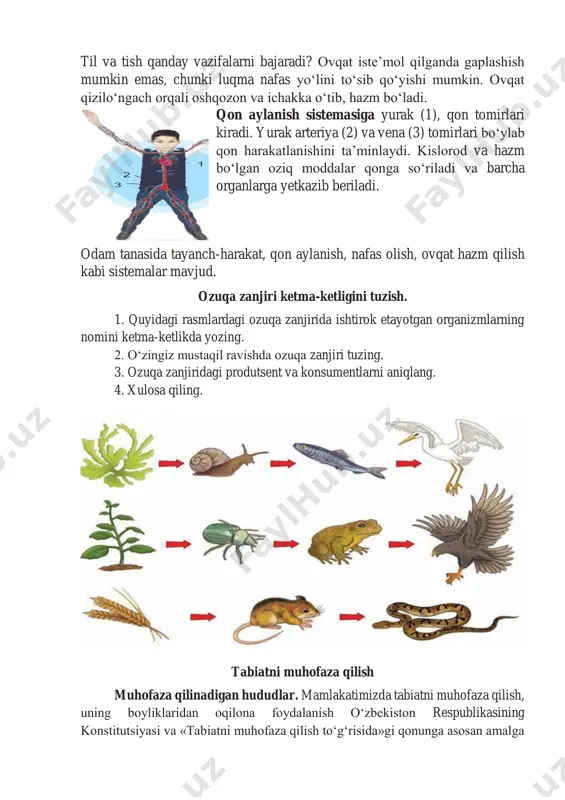 r, yer yuzasining ochilib qolgan joylari va katta yoshli ulkan daraxtlar, toshga aylangan o‘simlik, hayvonlar kiradi. mamlakatimizda 400 dan ortiq tabiat yodgorliklari ro‘yxatga olingan. ularning ayrimlaridan turli davrlarga mansub asori-atiqalar, toshga o‘yib chizilgan rasmlar, tosh haykallar va qadimgi odamlarning qoldiqlari topilgan teshiktosh g‘ori, ibtidoiy odamlar yashagan obirahmat g‘ori, xo‘jakentdagi qoyatoshlarga chizilgan rasmlar shular jumlasidandir. «qizil kitob»ga kiritilgan o‘simlik va hayvonlar. o‘zbekiston respublikasi «qizil kitob»i 1979-yilda ta’sis etilgan. dastlabki o‘zbekiston respublikasi «qizil kitob»i 1983-yilda nashrdan chiqdi. kitobning 1-jildi «umurtqali hayvonlar» haqida bo‘lib, unga 63 turdagi umurtqali hayvonlar kiritilgan. 1984-yilda «qizil kitob»ning «o‘simliklar»ga bag‘ishlangan 2-jildi chop etilgan. unga 163 tur o‘simlik kiritilgan. «qizil kitob» odamlarni o‘simlik va hayvonot dunyosining ayrim turlari yo‘qolib ketayotganligi, ularni saqlash va ko‘paytirish kerakligi haqida ogohlantiradi. «qizil kitob»da o‘simlik va hayvonlarning tuzilishi, tarqalgan hududi, yashash tarzi, qirilib ketish sabablari kabi ma’lumotlar beriladi.