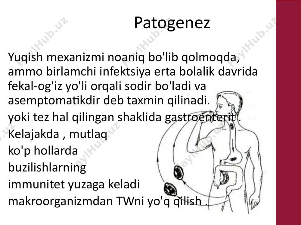 whipple kasalligi - Page 5