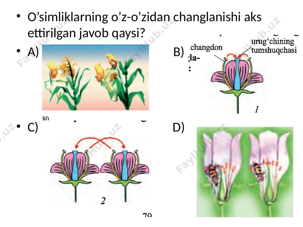o'simliklarning jiysiy ko'payishi. urug'lanish. - Page 4