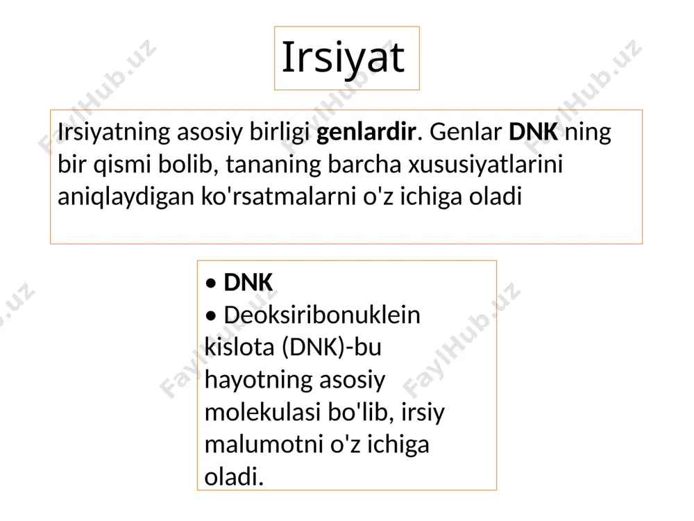 irsiyat va irsiy kasalliklar 2 - Page 4