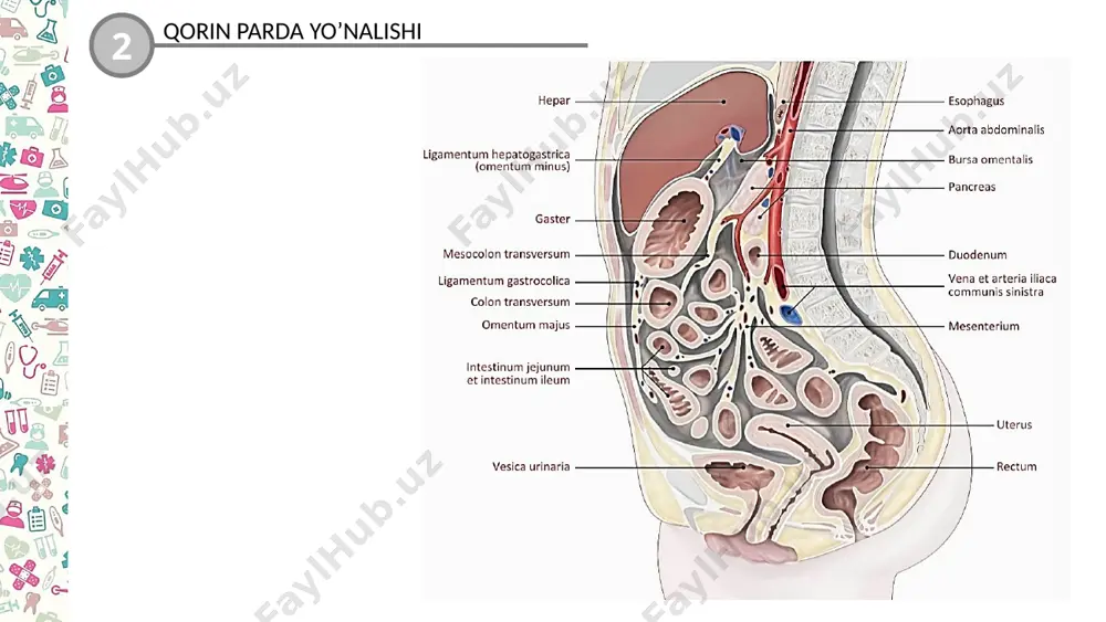 qorin parda varaqalari - Page 4