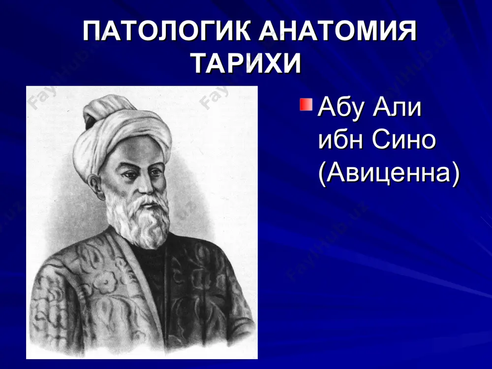 : "adaptatsiya" (moslanish), "kompensatsiya"(o'rin to'ldirish) va "organizatsiya" (yagonalikni tiklanishi) qayd etilishi mumkin. predmetga kirish “a'zo” darajasida ham axvol yaxshi emas (3 rasm). a'zodagi “norma”ni ifodalovchi ibora yo'q. a'zoning yoki uning bir qismini o'limi katagida: "infarkt"(qon aylanishini buzilishi natijasidagi o'lim), "gangrena"(tashqi muxit bilan aloqador bo'lgan a'zolar o'limi), "sekvestr"( o'lgan to'qima yoki a'zo uzoq vaqt qattiq, zich bo'lib qoladi) ko'rsatilgan, bunda "organo-patologiya" katakchasida "predinfarkt, infarkt oldi xolatini“ ko'rsatish mumkin. a'zoning bir qismi nobud bo'lgandan keyin tirik organizmda qonuniy ravishda "demarkatsiya" (o'lgan to'qimani sog' to'qimadan farqlanishi) ro'y beradi. predmetga kirish to'qima darajasida ham (4 rasm) "norma" tushunchasi yo'q. to'qima "patologiya“siga "distrofiya"(to'qima metabolizmi bilan bog'liq bo'lgan to'qima strukturalarini buzilishi) kiritiladi. to'qima o'limini ifodalash uchun "nekroz“ iborasi qo'llaniladi. to'qima nobud bo'lgach, u qayta tiklanadi ("regeneratsiya"). to'qima patologiyasiga, bizning ma'lumotlarimizga ko'ra "displaziya" (to'qima rivojlanishini buzilishi), “tugunchali giperplaziyalar" va “o'smalar"(yangi to'qimalar rivojlanishini o'ziga xos variantlari) kiritilishi mumkin. predmetga kirish “xujayra” darajasida ham (5 rasm) "norma" tushunchasi yo'q. …