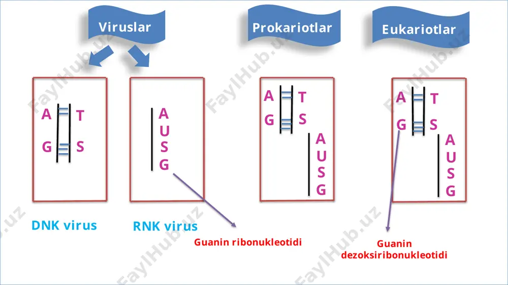 lota mavjud ? asparagin arginin trionin lizin izoleysin leysin valin metionin sistin sistein serin alanin glitsin serin leysin oksiprolin prolin gistidin triftofan tirozin fenilalanin glutamin leysin 1xil 1xil triftofan 1xil http://nambiolog.zn.uz https://t.me/nambiolog https://t.me/nambiolog_bot genetik kod 1 2 3 u g a c u u ca g u ca g u ca g u ca g c a g u u u uuc uua uug ucu ucc uca ucg uau uac uaa uag ugu ugc uga ugg cuu cuc cua cug ccu ccc cca ccg cau cac caa cag cgu cgu cgu cgu auu auc aua aug acu acu acu acu aau aac aaa aag agu agc aga agg guu gua guc gug gcu gcc gca gcg gau gac gaa gag ggu ggc gga ggg fenilalanin leysin leysin serin prolin tirozin stop kodon stop kodon triftofan sistein arginin alanin valin izoleysin metionin trionin gistidin glutamin asparagin lizin asparagin glutamin glitsin arginin …