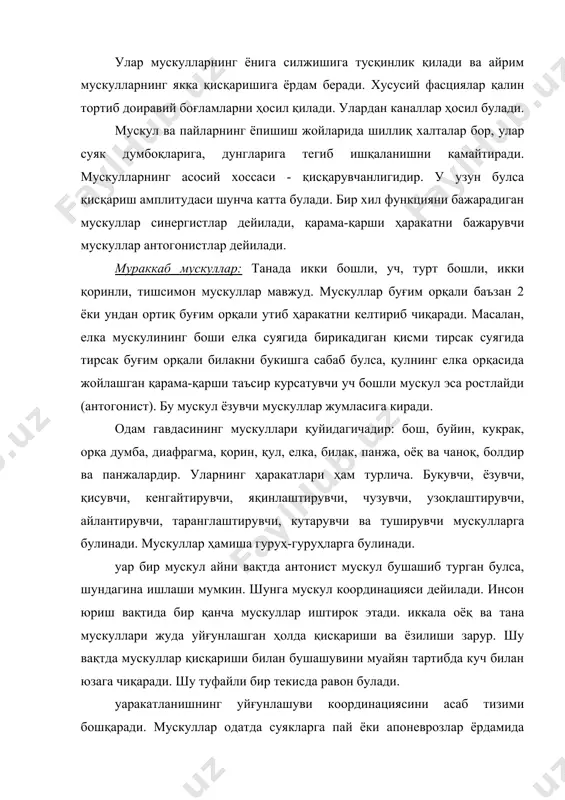 нг остида, уларнинг бошланиш ва ёпишиш пайларида баъзан шиллиқ халталар учрайди, ана шу халталар пайларнинг остидаги суяк думбоқчалари ва дунгларига тегиб ишқаланишини камайтиради. пай уз йуналишини кескин узгартирганда суякларда думбоқлар, ғалтаклар вужудга келади. мускулнинг суякка ёпишиш бурчагини катталаштириш зарурияти туғилса, пайларнинг бағрида сесасимон суяклар пайдо булади. маълумки, сесасимон суяклар турли катта-кичикликдаги юмалоқ сукчалар булиб, мускул пайини тагида жойлашади ва пайни суяклардан бироз кутариб, ишқаланишдан сақлайди, айланиш бурчагини оширади ва ҳаракатини кучайтиради. энг катта сесасимон суяк тизза қопқоғи суягидир. мускул суякларга ишқаланмай осонгина ҳаракат қилишида синовиал халтачалар буғим яқинида жойлашиб, мойсимон суюқлик билан мойлаб туради. халтачанинг ташқи қавати мускулга, иккинчи томони суякка ёпишади. пай қинлари эса қул-оёқ панжаларига келувчи мускул пайларни ураб туради. улар цилиндрик шаклда булиб, девори икки қават. оралиқ бушлиқларида эса синовиал суюқлик бор. қул-оёқ панжаларига борувчи мускул пайлари панжалар букилганда, юк кутарганда, юрганида сиқилмасдан бемалол сурила олади. мускуллар қисқарганда калта тортади, бошланиш ва ёпишиш нуқталари бир-бирига яқин келади. …