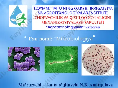 chorvachilik manbalarining mikroorganizmlar bilan zararlanish manbalari — PPTX