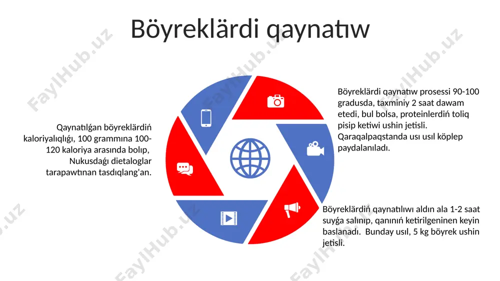 böyreklärdi qaynatıw - Page 5