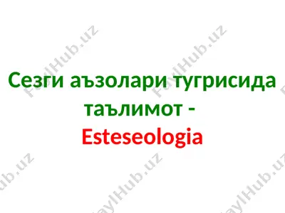 esteseologia — PPTX