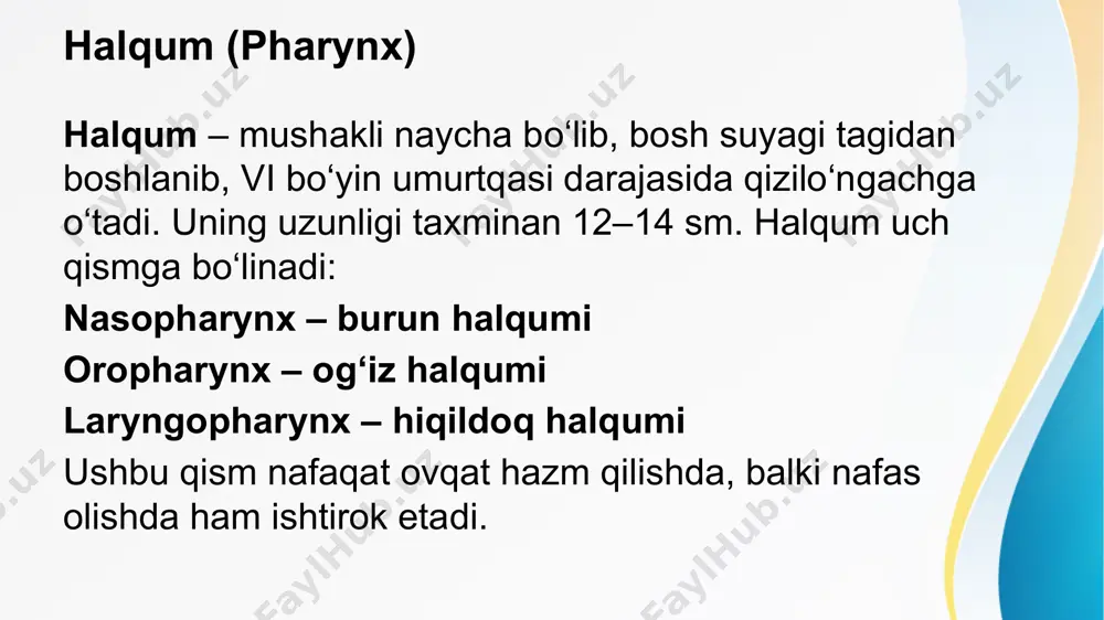 halqum, qizilonchak va medaning umumiy anatomiyasi - Page 3
