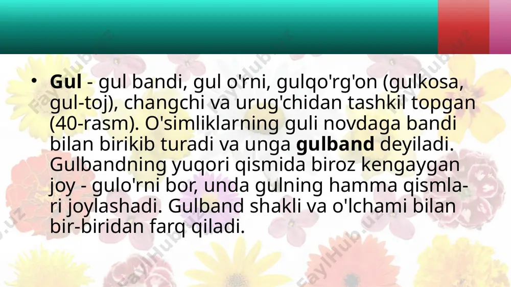 gul - o'simliklarning generativ ko'payish organi - Page 4
