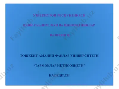 mineraл ҳomashё resurslari — PPTX