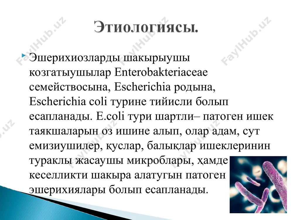 азан-ишек (энтерит, энтероколит, гастроэнтерит, гастроэнтероколит, колит). 1. женил. 2. орта ауыр. 3. ауыр а. дауамлылыгы бойынша: -откир (1 айга шекем); -созылган (3 айга шекем) 2. атипик – септик, билинер-билинбес, симптомсыз (инаппарант), транзитор бактерия тасыушылык ауырлык дарежеси критериялары: -исиниу синдромынын характерлениуи; - суусызланыу синдромынын характерлениуи; - маҳаллий озгерислеринин характерлениу. б. касийетине карап: 1. тегис 2. текис емес– аскынган, хауиж алыу хам қайталаныулар менен, екилемши инфекциянын қосылыуы менен, хроникалык кеселликлердин хауиж алыуы менен. типик формалары. асказан-ишек формаларынын клиникалык коринислери (энтерит, энтероколит, гастроэнтерит, гастроэнтероколит, колит) қозгатыушынын кайсы топарга танлиги, штаммнын вирулентлиги, макроорганизмнин реактивлиги, наукаслардын преморбид жагдайы хам жасына байланыслы. жасырын дауири орташа 4-8 кун, бирак айырым уакытларда 1-3 кунге шекем (коп мугдарда қозгатыушы тускенде) хам 3 ҳаптеге шекем созылыуыда мумкин. кеселлик асте- акырын ямаса откир ишек дисфункциясы (энтерит ямаса гастроэнтерит), дене температурасынын котерилиуи, улыума жагдайынын бузылыуы менен басланады. айырым уакытларда дене температурасы кеселликтин биринши кунлеринде нормасы менен сакланады. кейин бала тынышсыз болып қалады, …