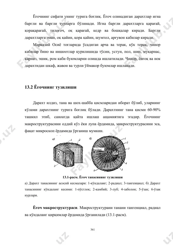 ч танасининг тузилиши а) дарахт танасининг асосий кесмалари: 1-кўндаланг; 2-радиал; 3-тангенциал; б) дарахт танасининг кўндаланг кесими: 1-пўстлоқ; 2-камбий; 3-луб; 4-заболон; 5-ўзак; 6-ўзак нурлари. ёғоч макроструктураси. макроструктурани танани тангенциал, радиал ва кўндаланг қирқимлар ёрдамида ўрганилади (13.1-расм). дарахт танаси ўзак, ёғочлик камбий ва пўстлоқ қисмидан иборат бўлади (13.1, б-расм). ўзак жуда бўш боғланган хужайралардан иборат бўлиб, кичик мустащкамликка эга ва намлик таъсирида тез чирийди. пўстлоғи ташқи қобиқ ва ички луб қатламларидан ташкил топган бўлиб, дарахтнинг ташқи мущит таъсири ва механик шкастланишлардан сақлайди. луб қатлами орқали ўсаётган дарахт озиқланади. луб қатлами остида юпқа камбий хужайра қатлами жойлашган. щар йили дарахтнинг ўсиш даврида камбий пўстлоқ ва ички томонга ёғоч хужайраларини суради ва ёғочлик кенгайиб боради. шу сабабли, дарахтнинг кўндаланг кесимида йиллик халқалар щосил бўлади. йиллик халқалар икки қатламдан иборат: бащорги –бащор ва ёзнинг бошида, ёзги-ёзнинг охирида щосил бўлган ёғоч қатламлари. бащорги ёғоч қатлами оч рангли йирик юпқа хужайралардан иборат бўлиб, ёзги қатлам эса тўқ …