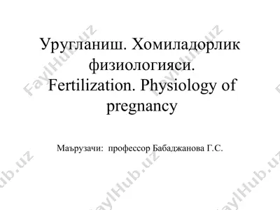 fertilization. physiology of pregnancy — PPT