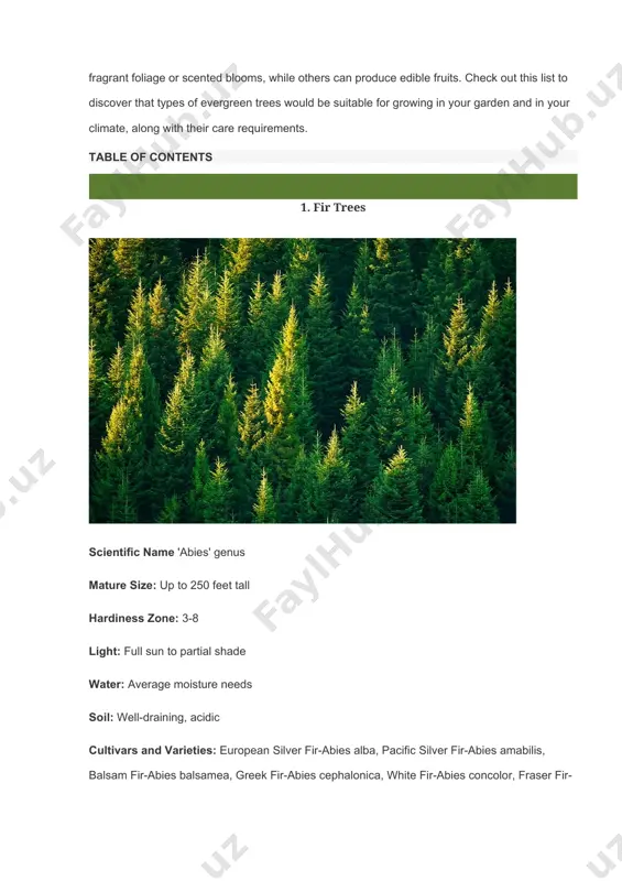 fir-abies amabilis, balsam fir-abies balsamea, greek fir-abies cephalonica, white fir-abies concolor, fraser fir-abies fraseri, grand fir-abies grandis, korean fir-abies koreana, alpine fir-abies lasiocarpa, spanish fir-abies pinsapo, blue noble fir-abies procera fir trees are evergreen conifer trees that are native to mountainous regions of europe, asia, north america, and north africa. there are around 50 different species of tree within the fir genus, and these are broadly suitable for growing in usda hardiness zones 3-8, with some variation between specific types, for example, the balsam fir is one of the hardiest types of fir trees, able to grow in zones 3-6, whereas the spanish fir prefers warmer temperatures and will grow in zones 6 and 7. the tallest fir tree is the grand fir, which can reach heights of around 250 feet, though many other types of fir trees fall into the medium to large tree category. there are also some …
