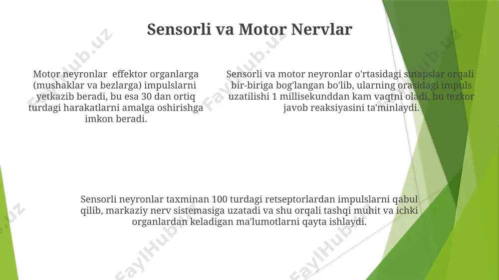 periferik nerv oʻsmalari taqdimoti - Page 5