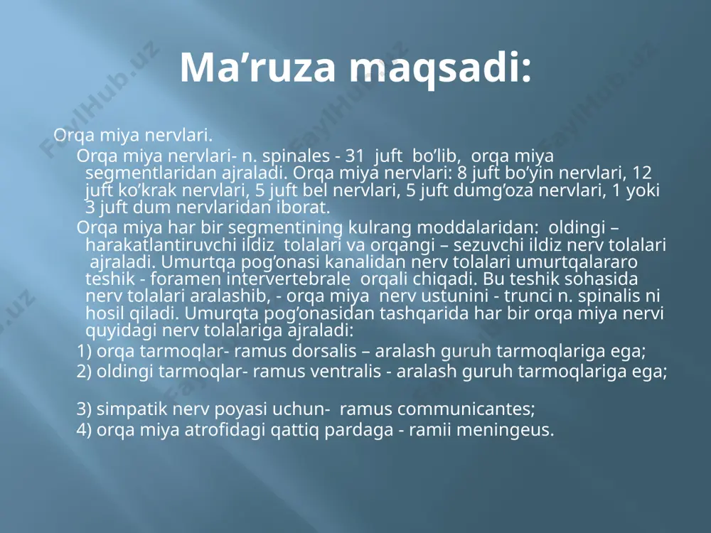 periferik nerv sistemasining umumiy anatomiyasi - Page 2