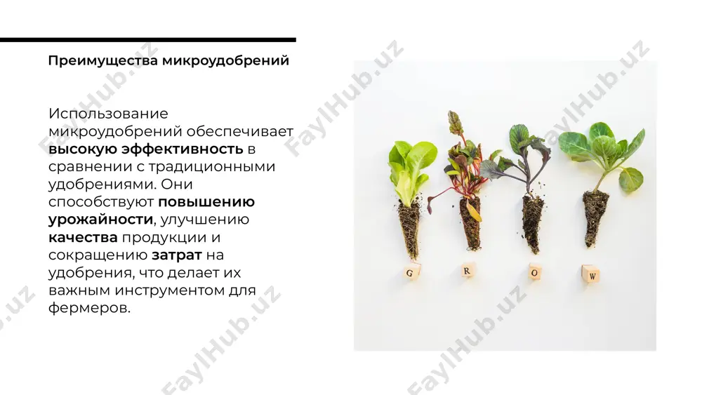 микроудобрения - Page 4