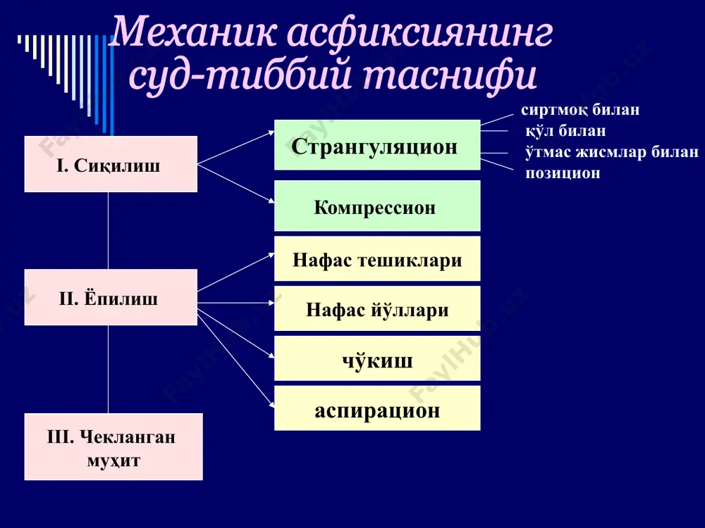 механик асфиксия - Page 4