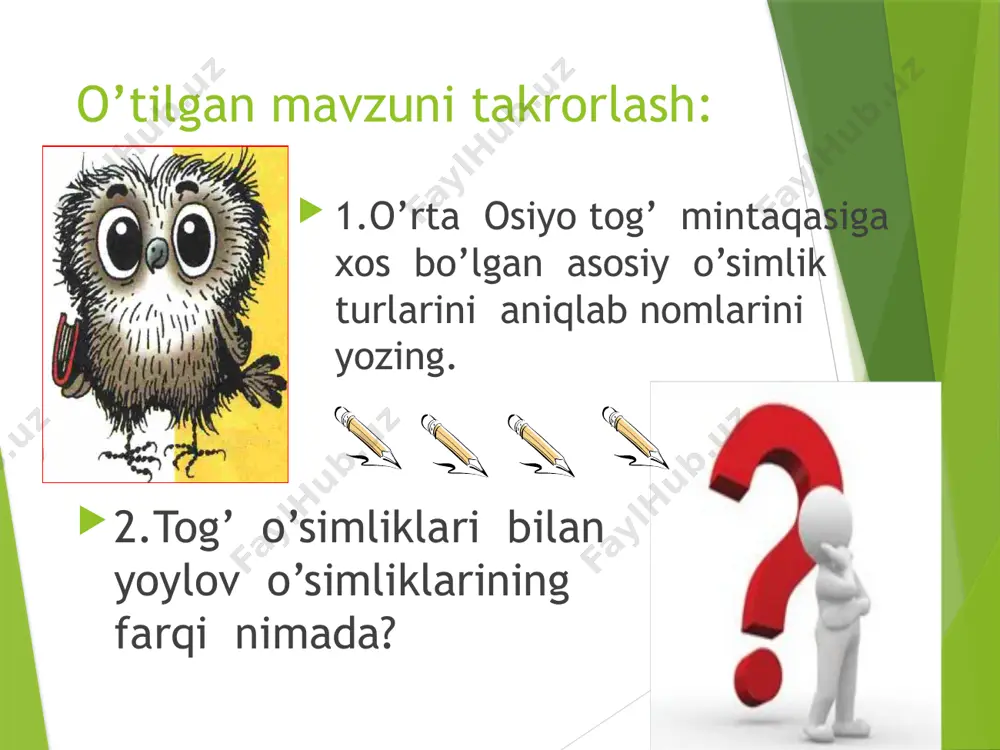 hayvonot dunyosi dars ishlanma - Page 3