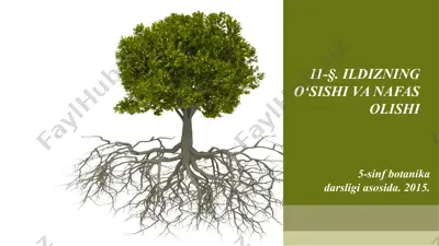 ildizning o‘sishi va nafas olishi. 5 - sinf — PPT